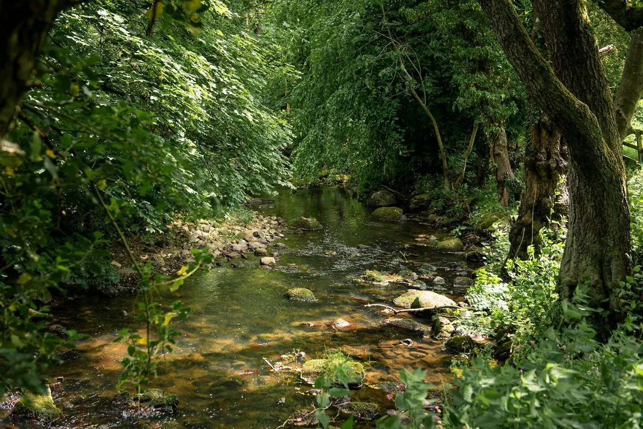 Winston Alwent Mill 빌라 영국